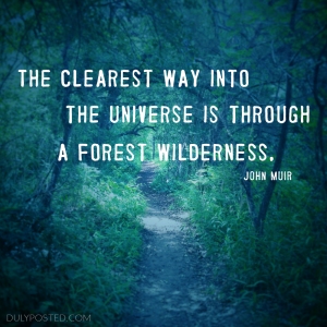 dulyposted_universe-forest-john-muir_quote